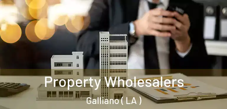  Property Wholesalers Galliano ( LA )