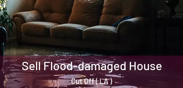  Sell Flood-damaged House Cut Off ( LA )