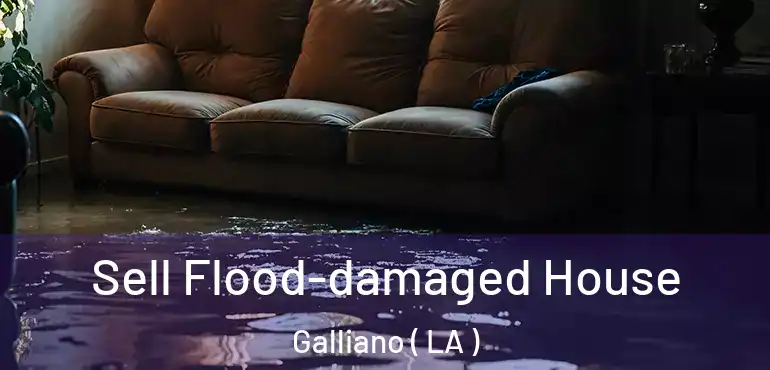  Sell Flood-damaged House Galliano ( LA )