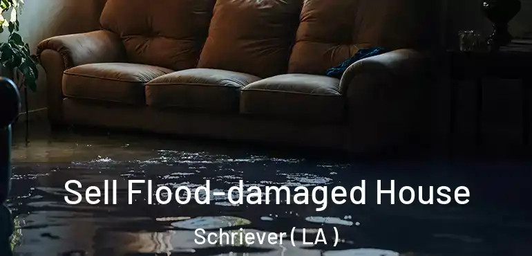  Sell Flood-damaged House Schriever ( LA )