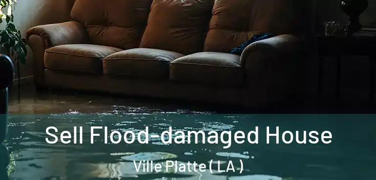  Sell Flood-damaged House Ville Platte ( LA )