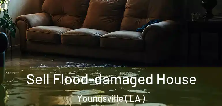  Sell Flood-damaged House Youngsville ( LA )