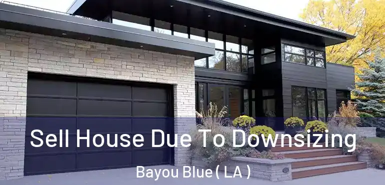  Sell House Due To Downsizing Bayou Blue ( LA )