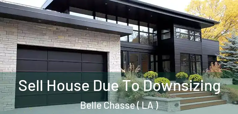  Sell House Due To Downsizing Belle Chasse ( LA )
