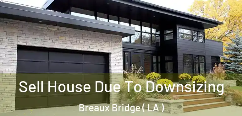  Sell House Due To Downsizing Breaux Bridge ( LA )