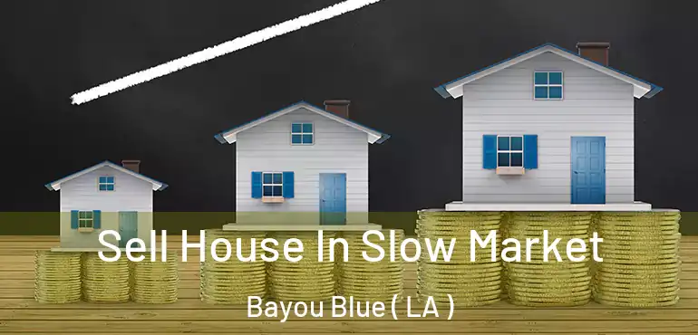 Sell House In Slow Market Bayou Blue ( LA )