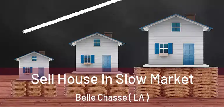  Sell House In Slow Market Belle Chasse ( LA )