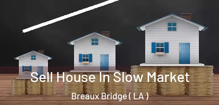  Sell House In Slow Market Breaux Bridge ( LA )