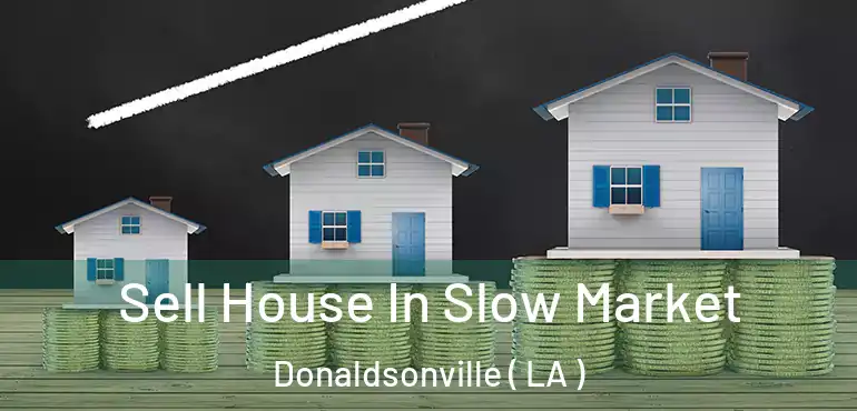 Sell House In Slow Market Donaldsonville ( LA )
