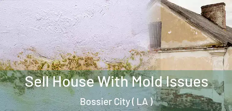  Sell House With Mold Issues Bossier City ( LA )
