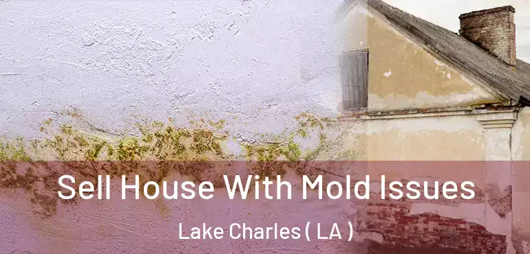  Sell House With Mold Issues Lake Charles ( LA )