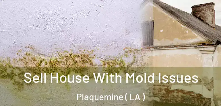  Sell House With Mold Issues Plaquemine ( LA )