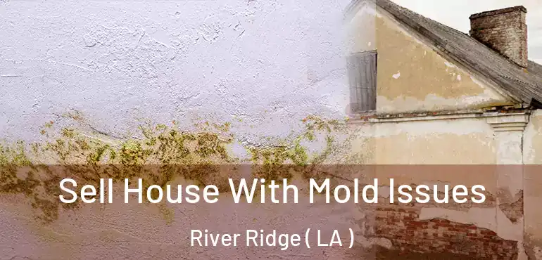  Sell House With Mold Issues River Ridge ( LA )