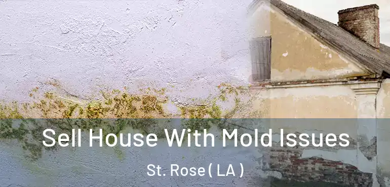  Sell House With Mold Issues St. Rose ( LA )