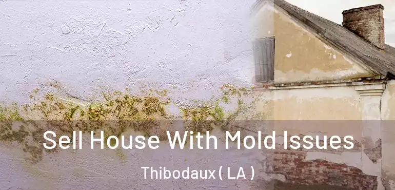  Sell House With Mold Issues Thibodaux ( LA )