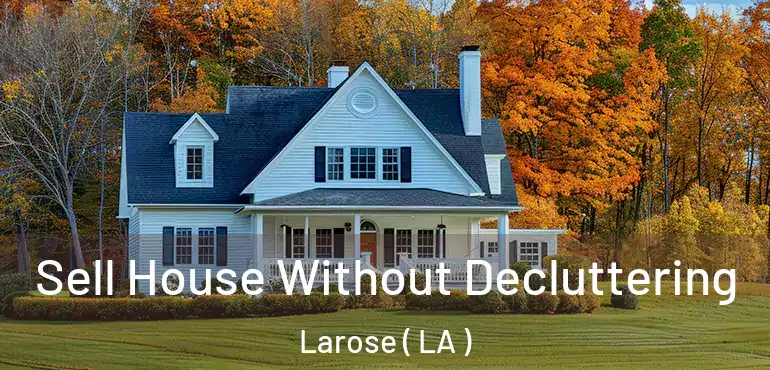  Sell House Without Decluttering Larose ( LA )