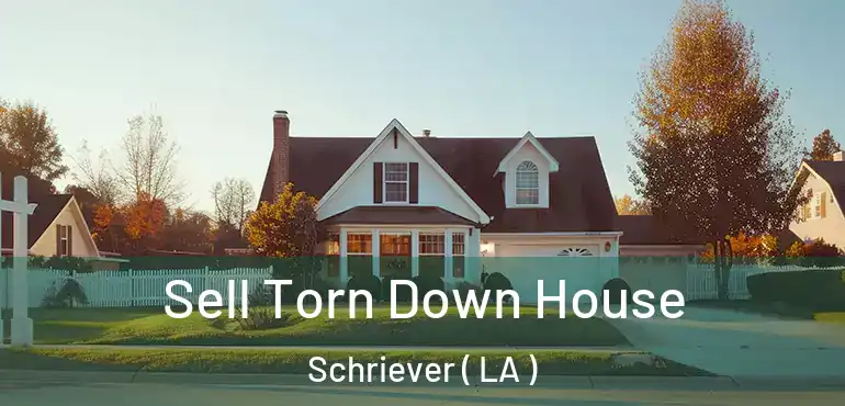  Sell Torn Down House Schriever ( LA )